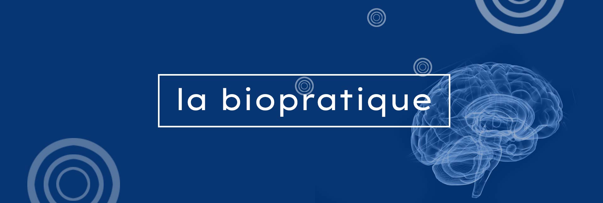 site-bio-pratique0_02